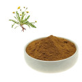 Herbal Extract 3% Flavone Dandelion Root Extract Powder